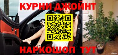 мяу мяу мука Лесосибирск