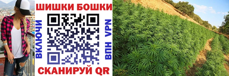 Купить где  Миллерово  Бошки марихуана THC 21% 